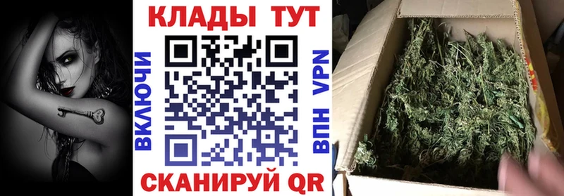 Где можно купить наркотики Черняховск Каннабис  Cocaine  A PVP  МЕФ  ГАШИШ 