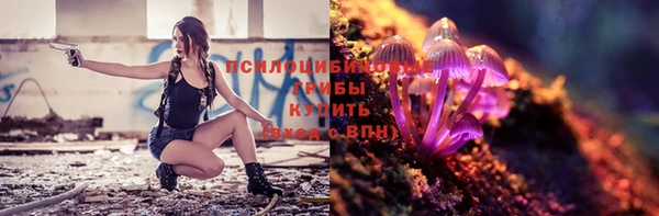 ГАЛЛЮЦИНОГЕННЫЕ ГРИБЫ Баксан