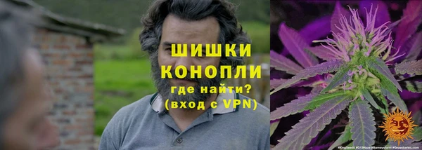 apvp Балахна