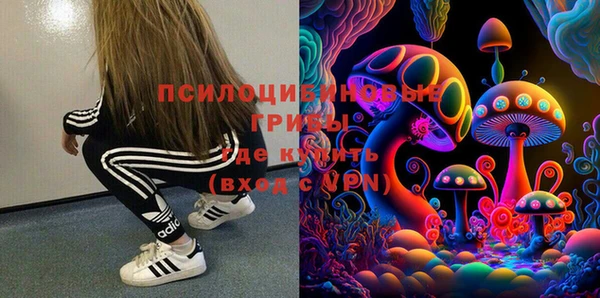 ГАЛЛЮЦИНОГЕННЫЕ ГРИБЫ Баксан