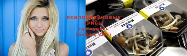 2c-b Медвежьегорск