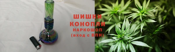 ГАЛЛЮЦИНОГЕННЫЕ ГРИБЫ Баксан