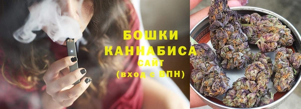ГАЛЛЮЦИНОГЕННЫЕ ГРИБЫ Баксан