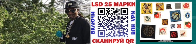 как найти наркотики  Черняховск  Наркотические марки 1,5мг 