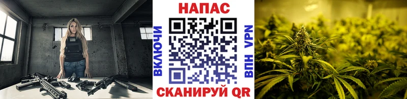 МАРИХУАНА сатива  Черняховск 
